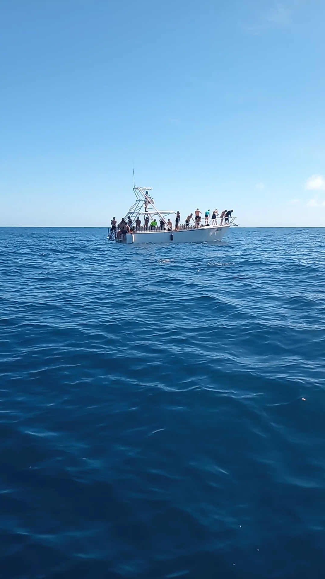 Bay Islands College of Diving photo 4