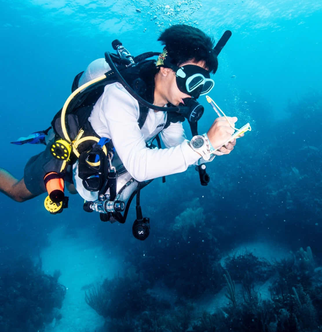Bay Islands College of Diving photo 10