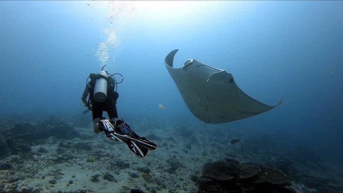 RAS ATOLL INN | FAMILY DIVERS MALDIVES photo 4