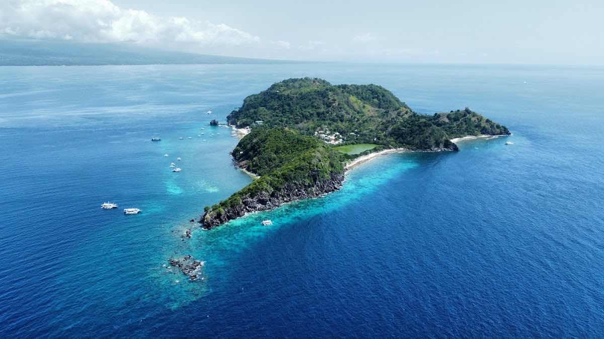 Marine Conservation Philippines photo 9
