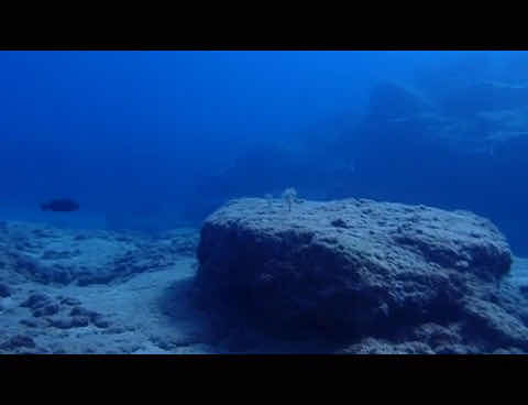 Pteron Scuba Diving Rhodos photo 3