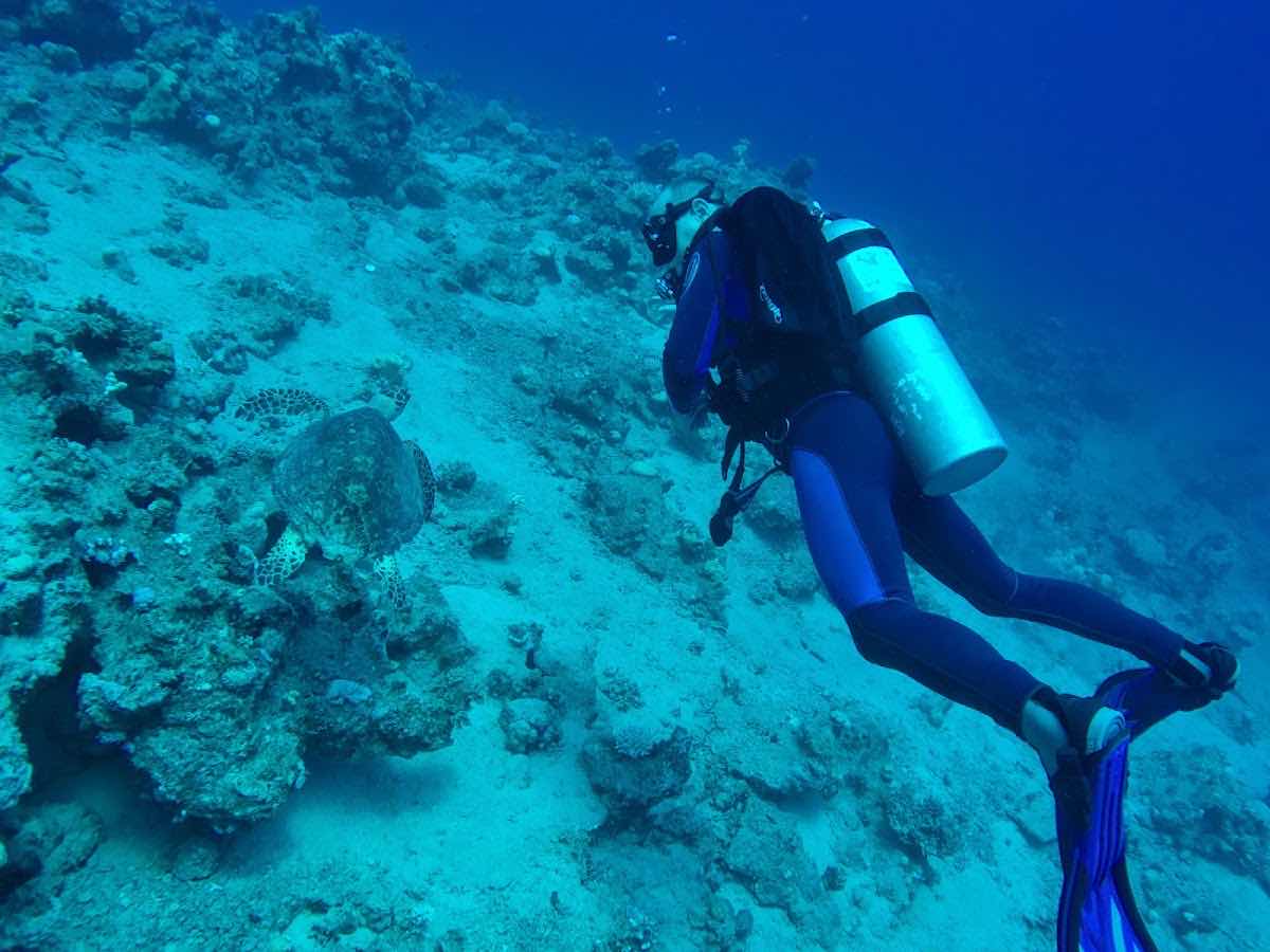 Diving Medicine School photo 5