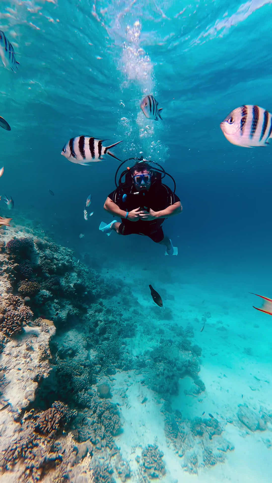 Scuba Earth Hurghada – Diving in Hurghada | Best Red Sea Scuba Diving photo 3