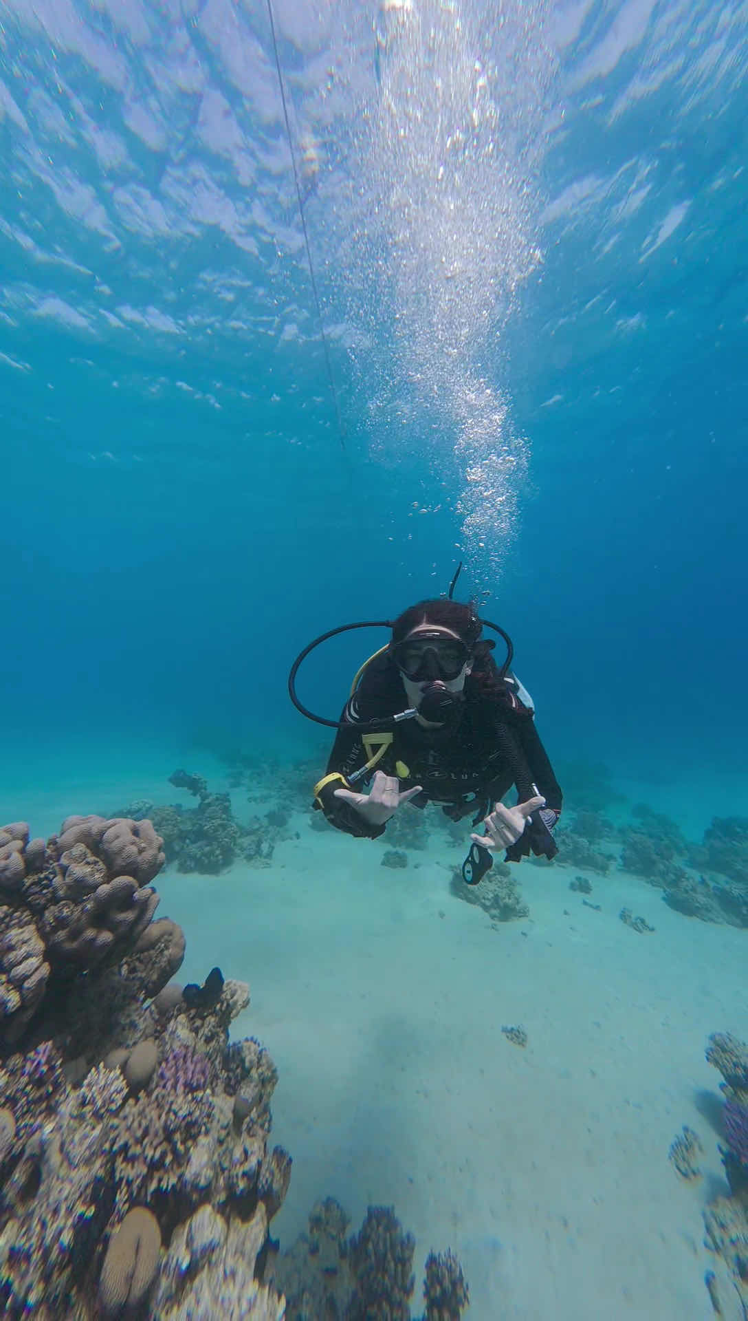Scuba Earth Hurghada – Diving in Hurghada | Best Red Sea Scuba Diving photo 6