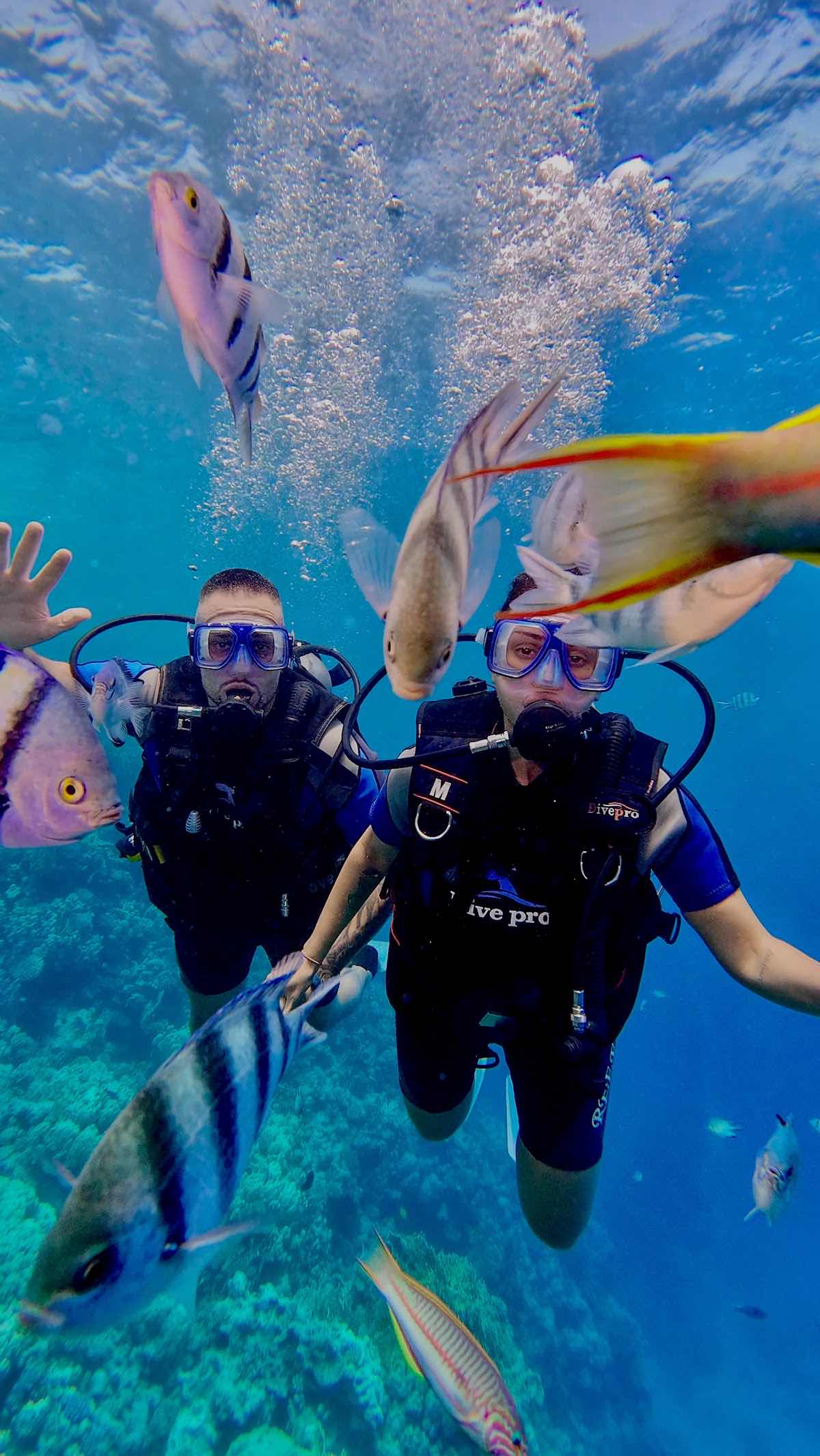 Scuba Earth Hurghada – Diving in Hurghada | Best Red Sea Scuba Diving photo 10