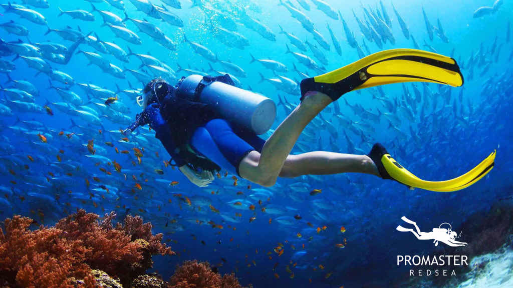 Dive Pro Academy-Sahl Hasheesh Red Sea- Egypt photo 5