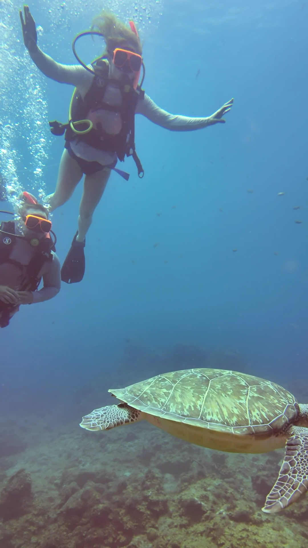 Sandals Dive Center photo 2