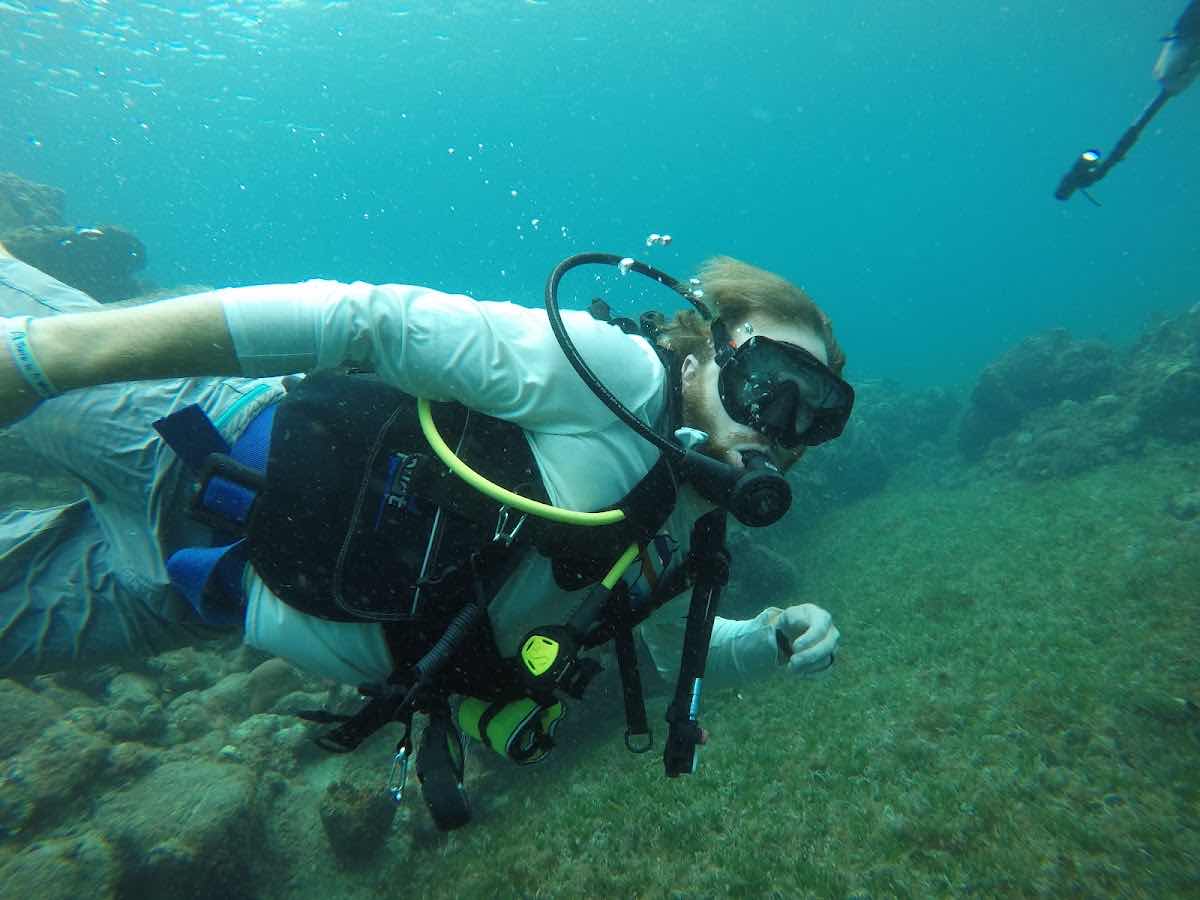 Sandals Dive Center photo 9