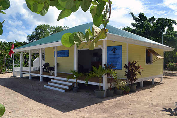 Dive Grenada photo 4