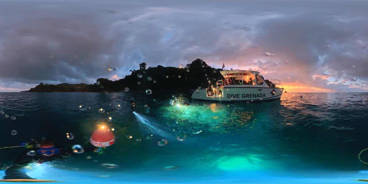 Dive Grenada photo 5