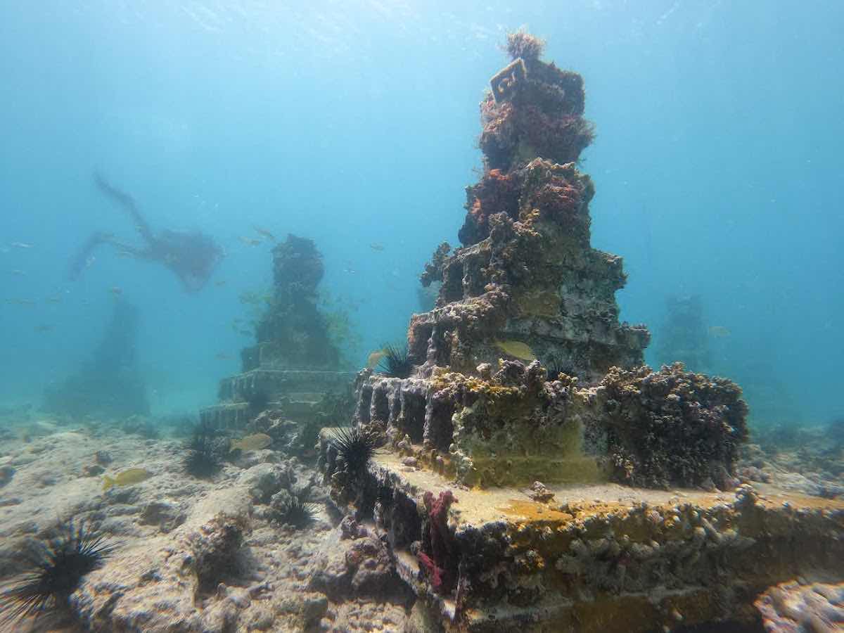 Dive Grenada photo 6