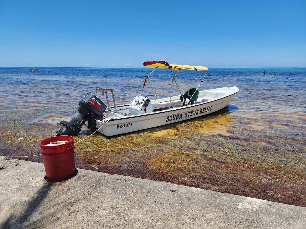 Scuba Steve Belize photo 4