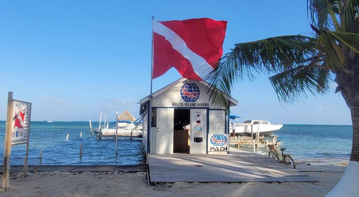 Scuba Steve Belize photo 9