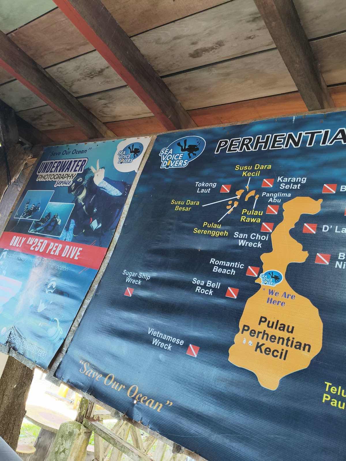Sea Voice Divers photo 2