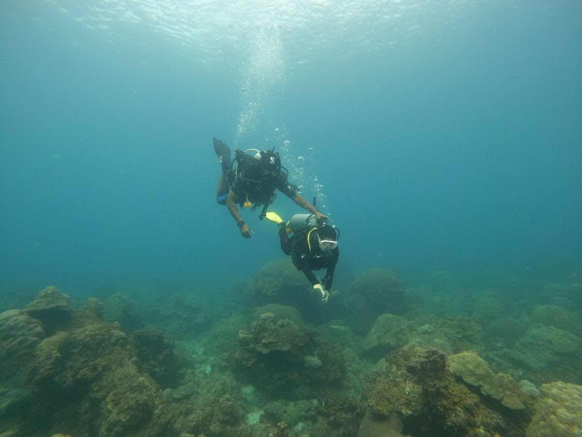 Sea Voice Divers photo 5