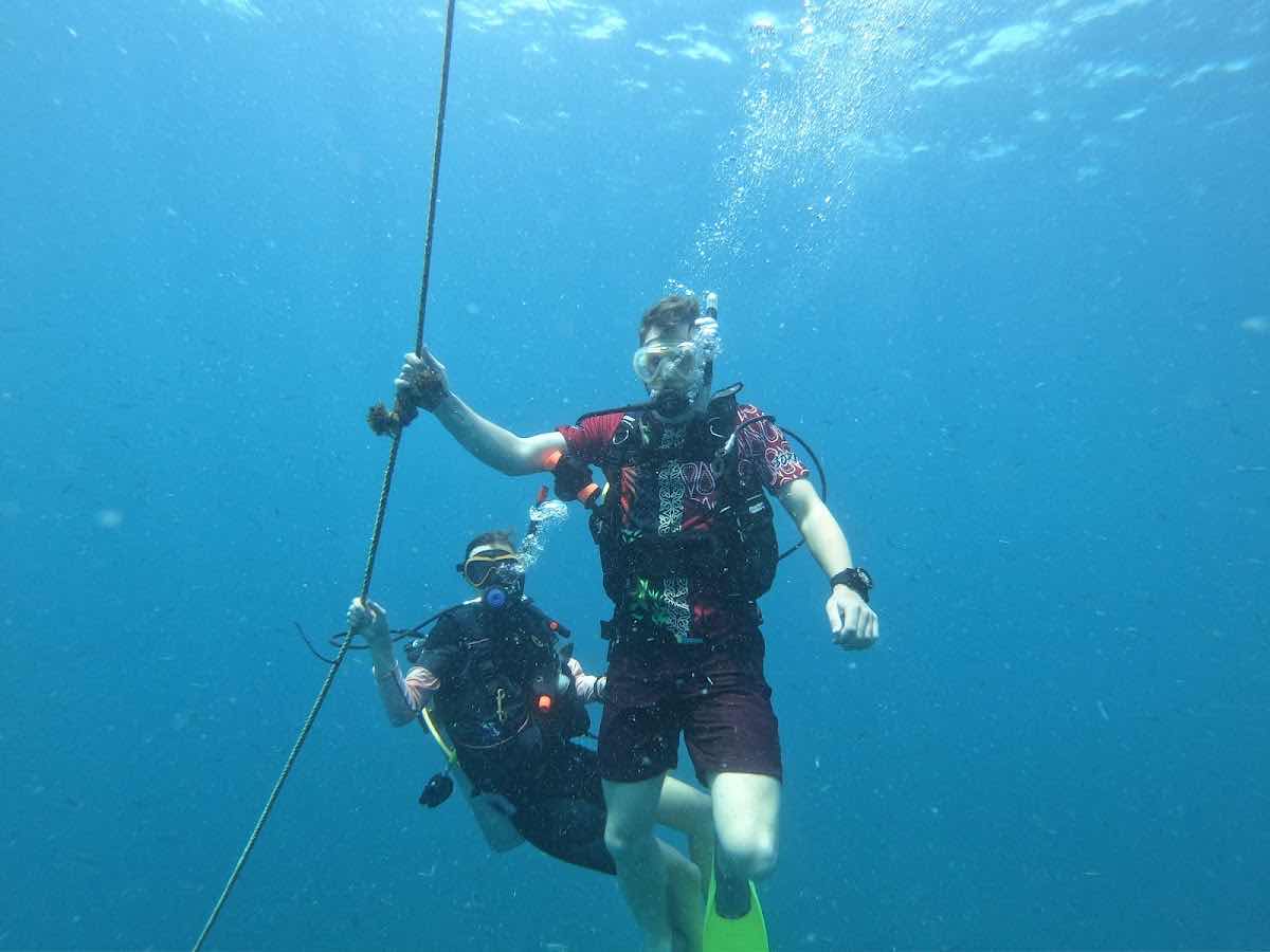 Sea Voice Divers photo 6