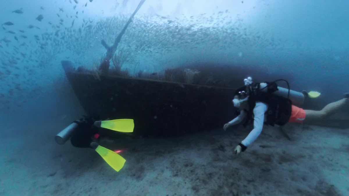 Sea Voice Divers photo 10
