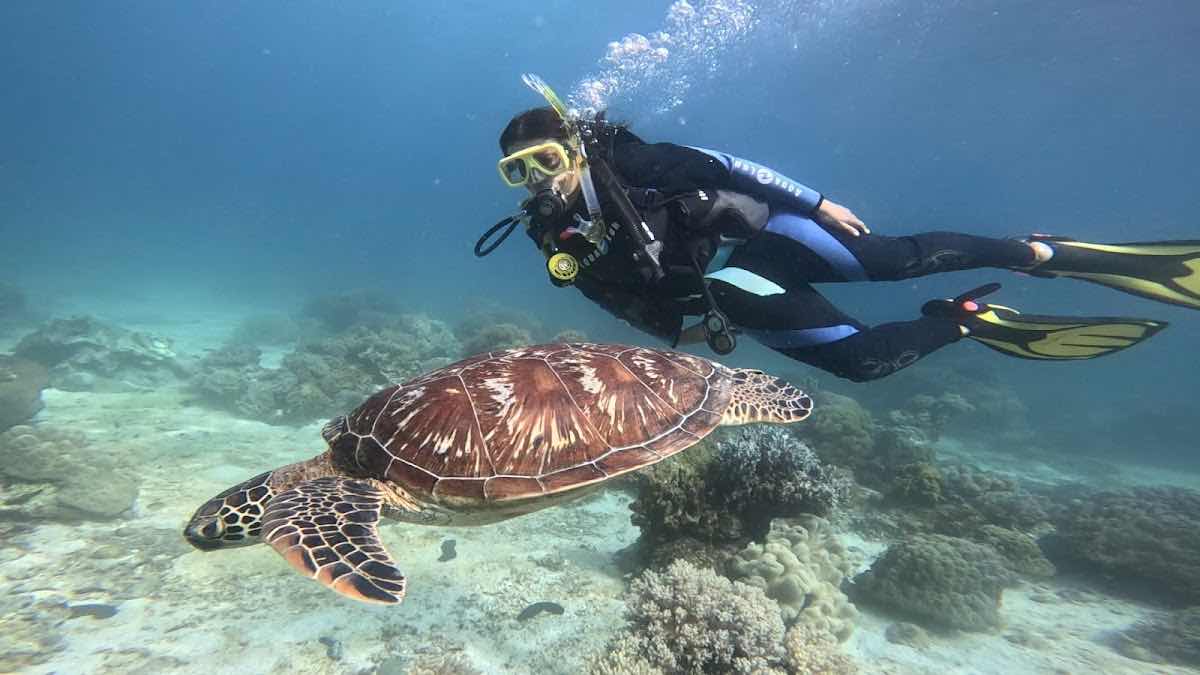 Paul's Dive Center photo 9