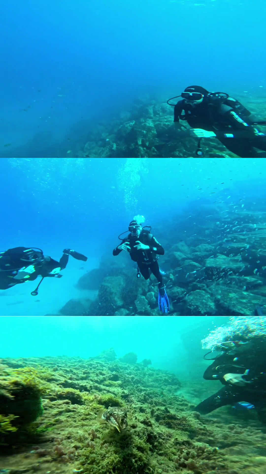 Pura Vida Diving Lanzarote photo 3
