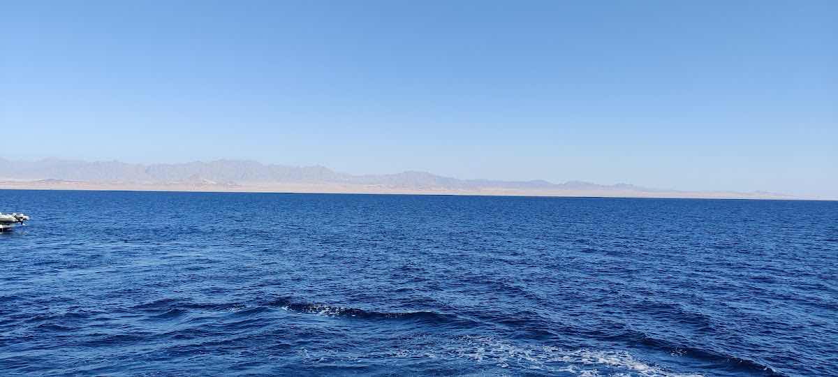 Diving Hurghada Club - Scuba Diving Center In Hurghada photo 9