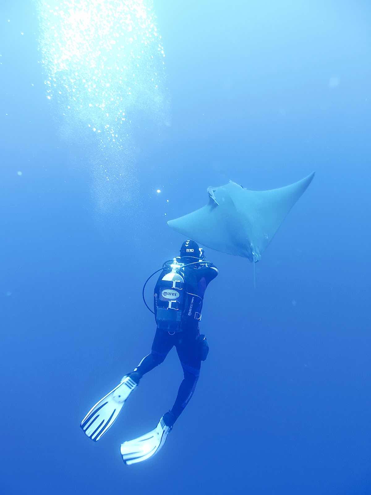 AZZURRO - Dive Academy | Azores, Dive School, Dive Center, Dive Professional Courses photo 4