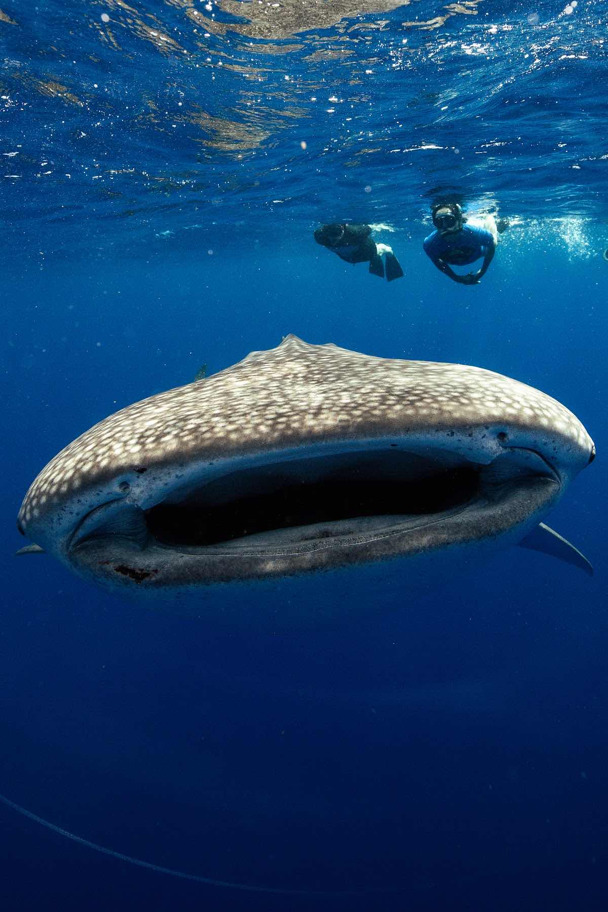 Deep Water Hawaii photo 2