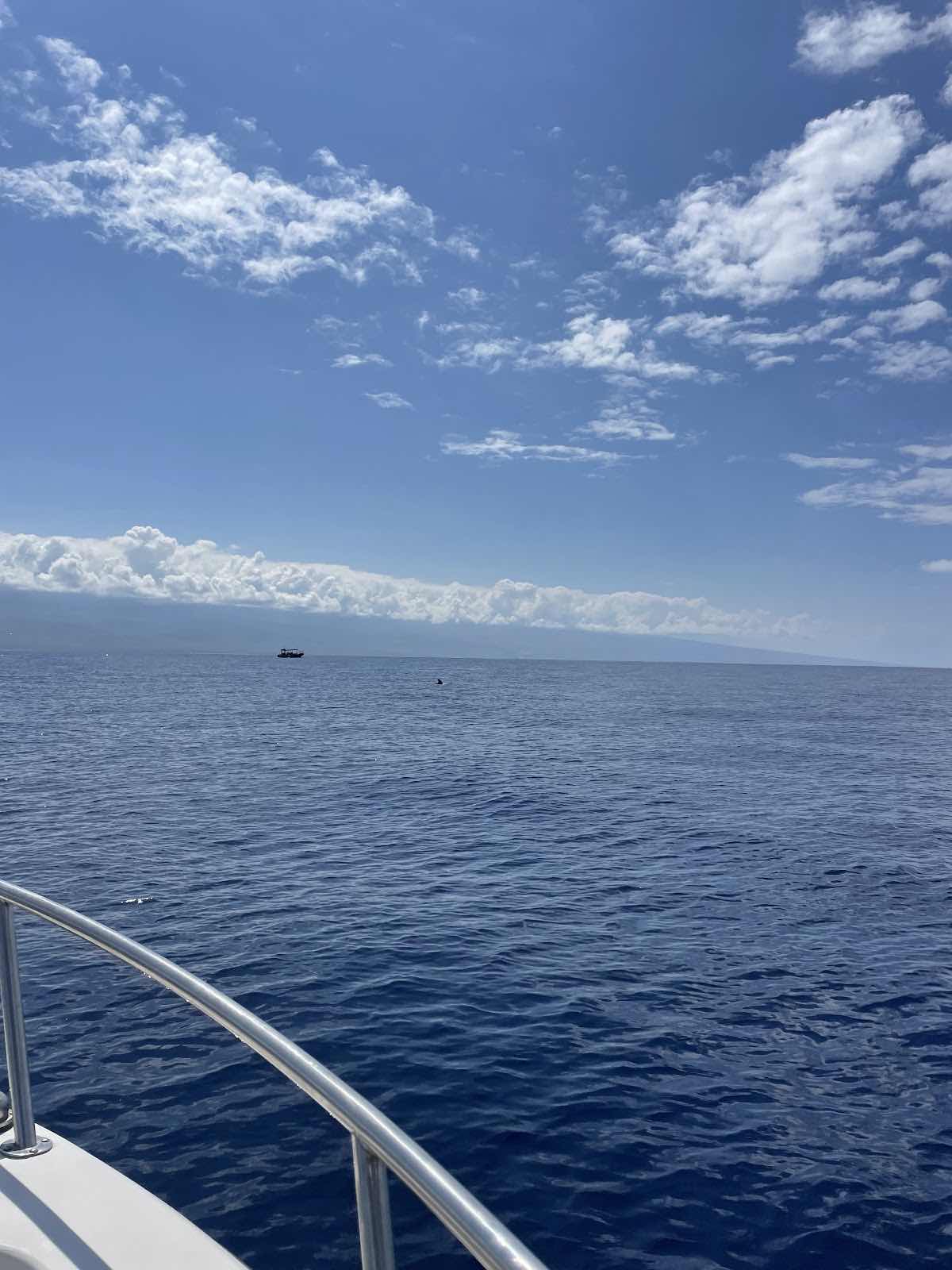 Deep Water Hawaii photo 10