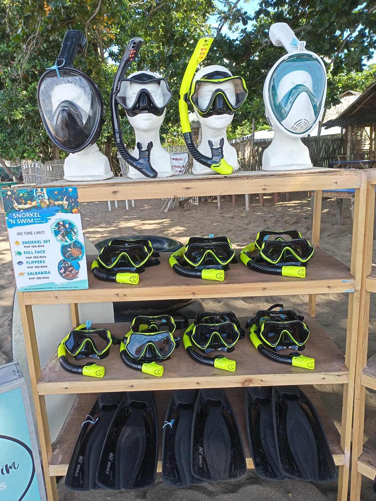 Snorkel 'N Swim photo 9
