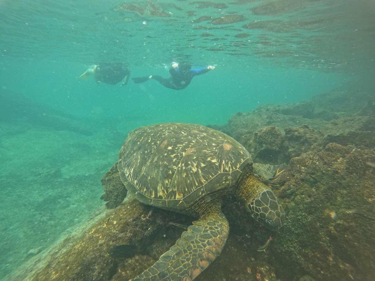 Galapagosup photo 4