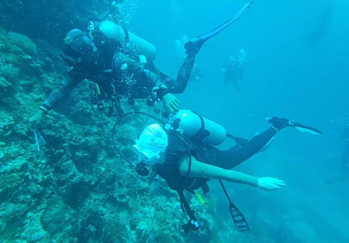 Ocean school 보홀오션스쿨(카톡채널) photo 9