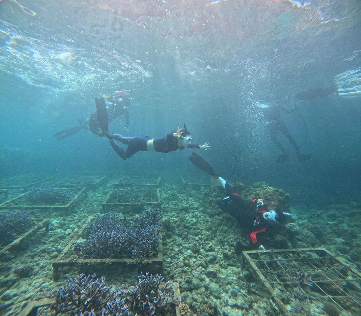 Ocean school 보홀오션스쿨(카톡채널) photo 10