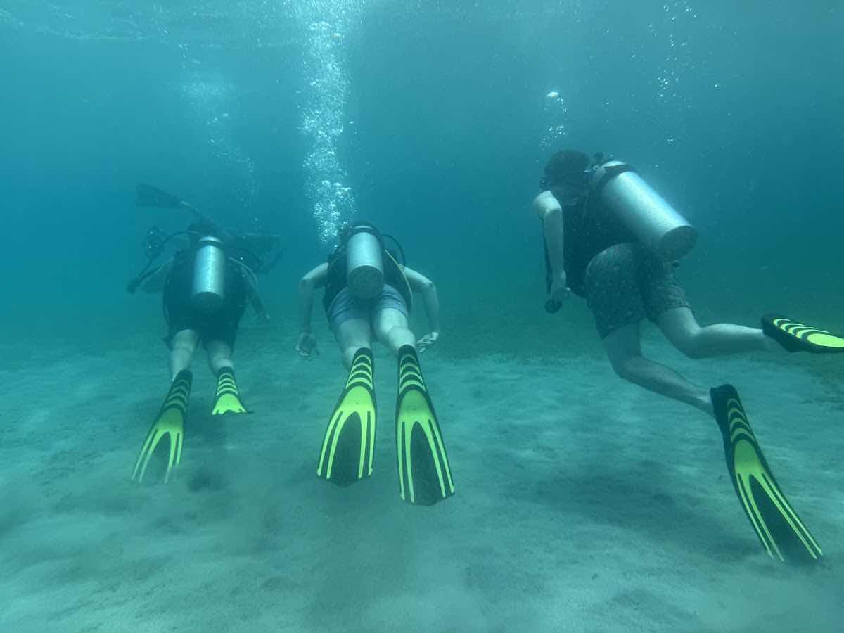 Nep2une Scuba Diving photo 4