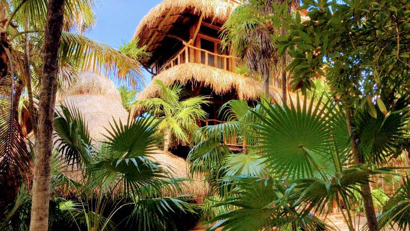 BREATHWORK TULUM® - Clarity Breathwork™ & Emotional Healing | Sound Healing | Cacao Ceremonies | Temazcal & More photo 5
