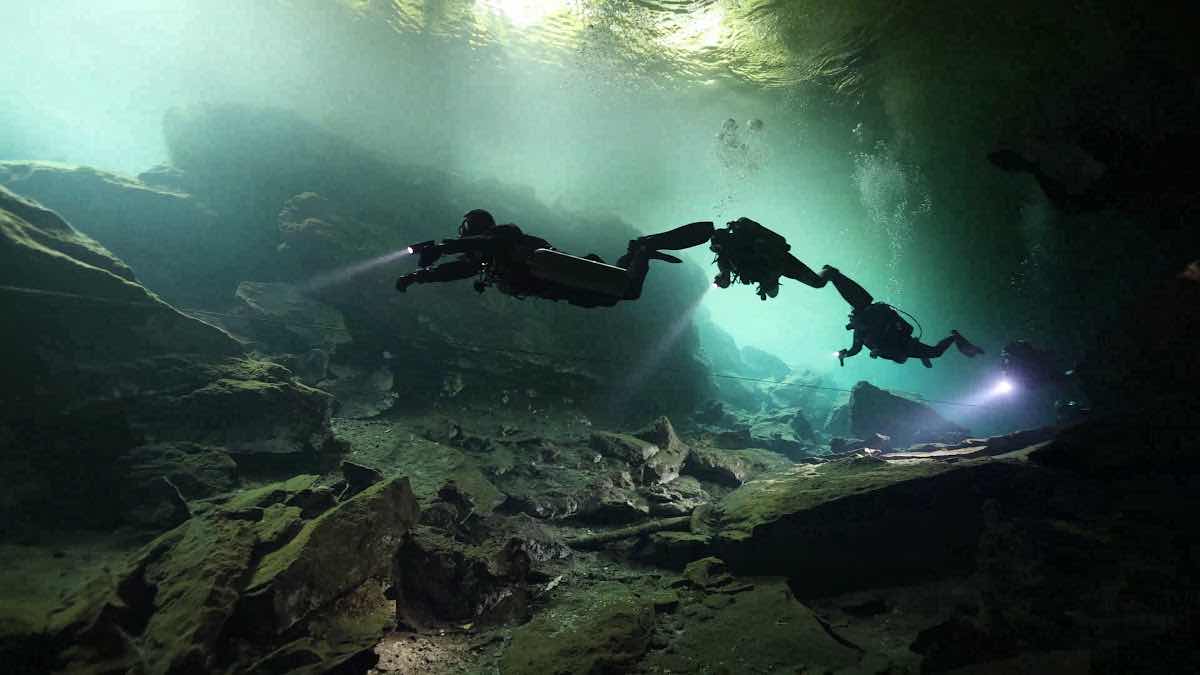 Pasku Dive Playa del Carmen, Mexico - Buceo en Playa del Carmen, Mexico photo 4