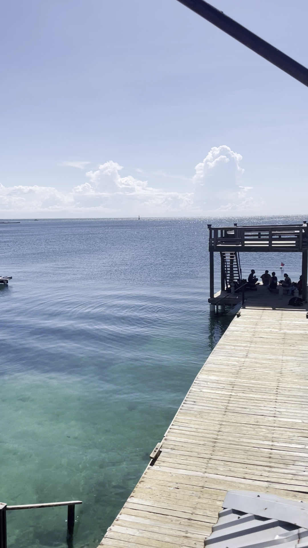 Utila Dive Centre photo 3