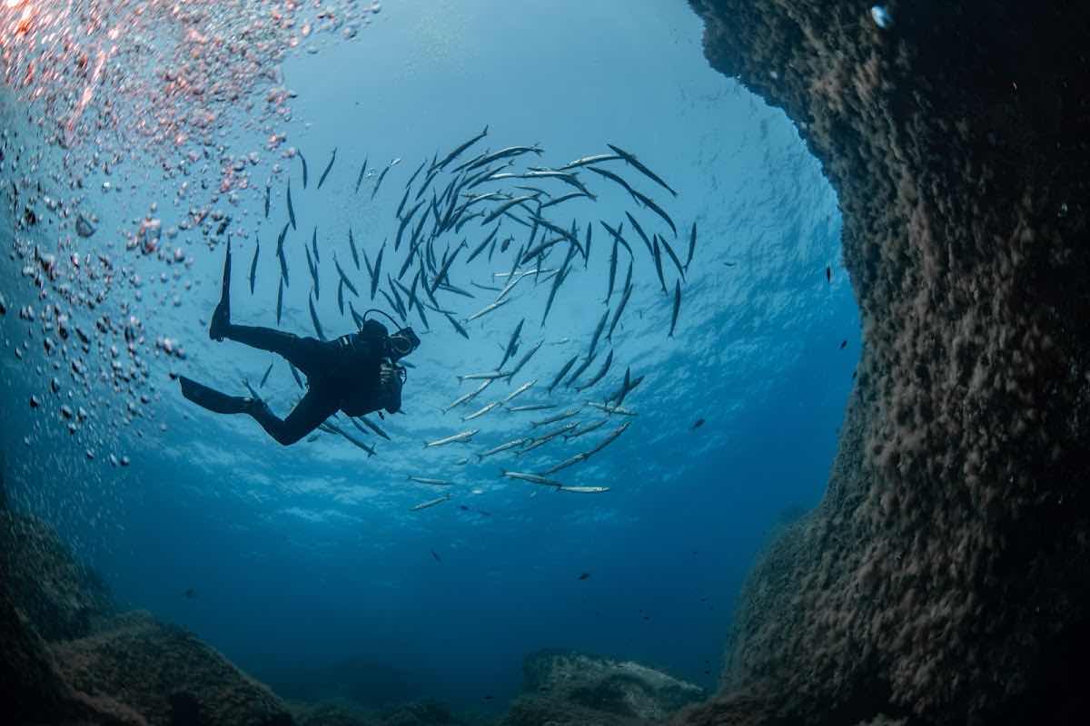 Progetto Sub Sardegna photo 1