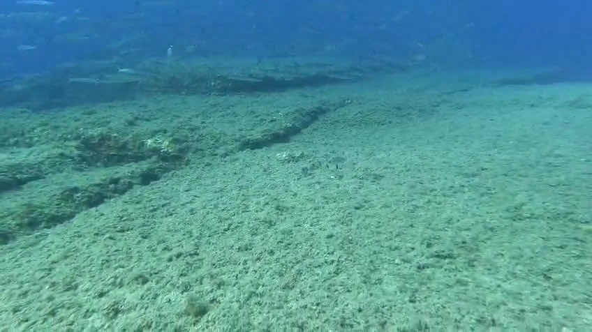 Progetto Sub Sardegna photo 8