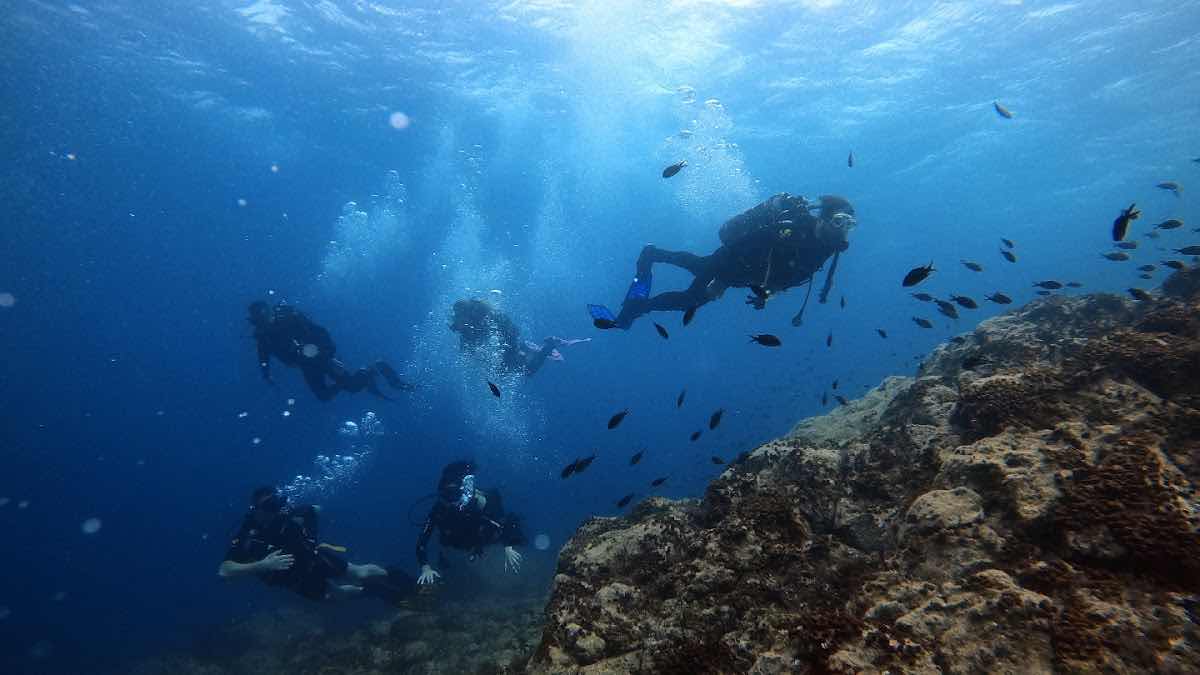 Aegina Divers photo 1