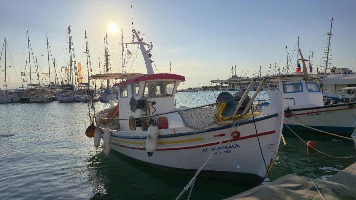 Aegina Divers photo 8