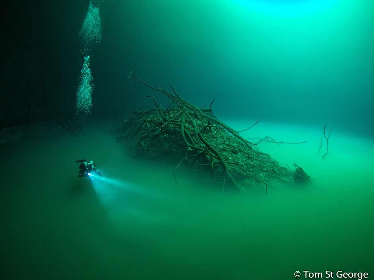 La Calypso Dive Center - Cenote diving photo 1