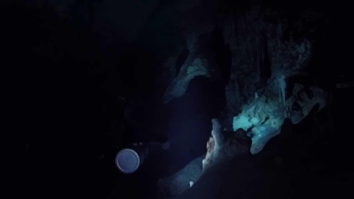 La Calypso Dive Center - Cenote diving photo 3