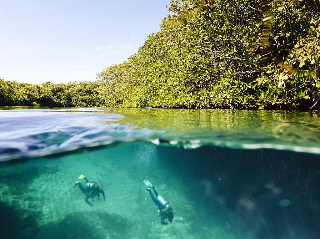 La Calypso Dive Center - Cenote diving photo 4