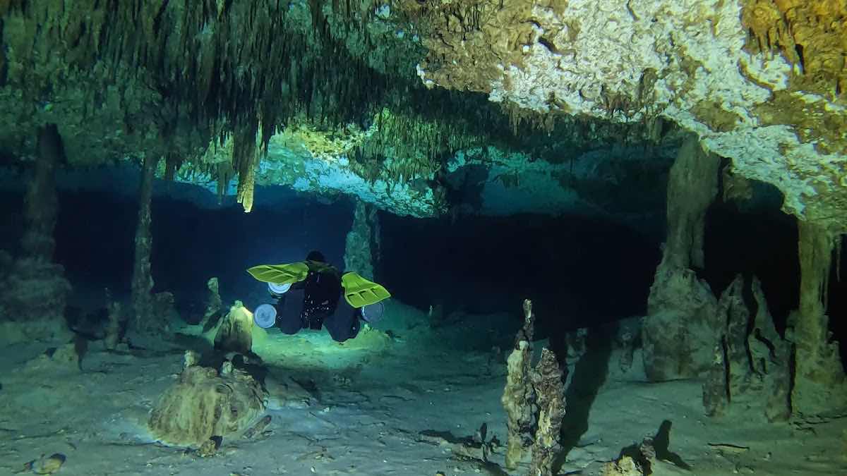 La Calypso Dive Center - Cenote diving photo 8
