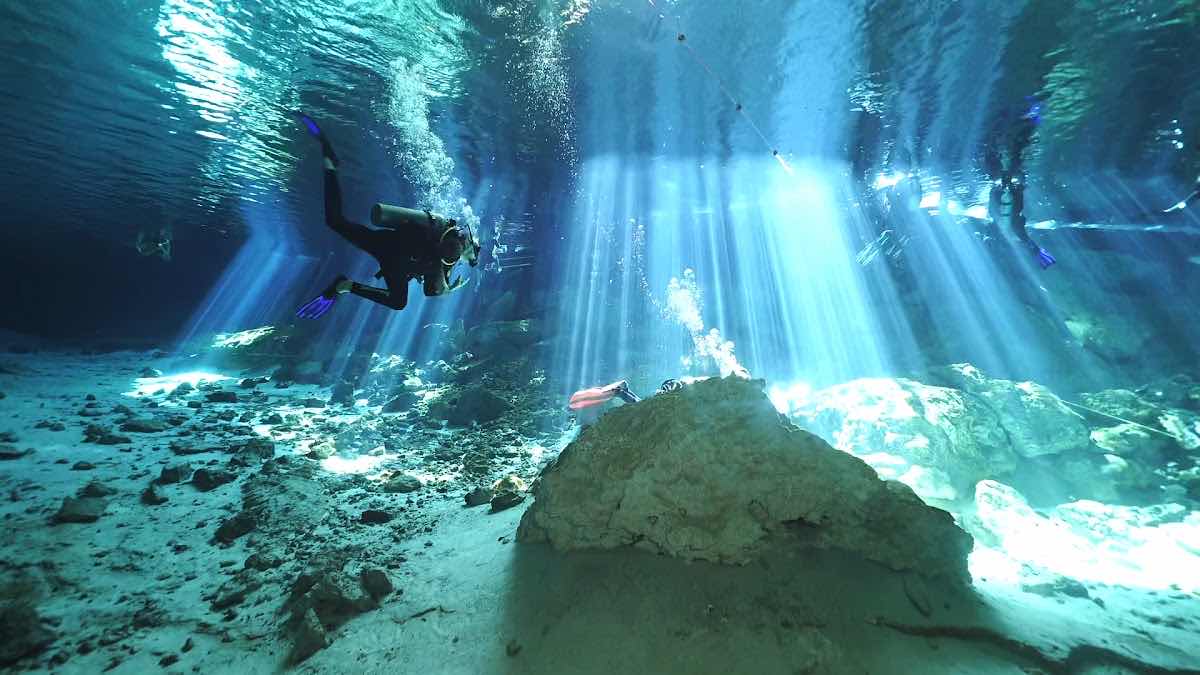 La Calypso Dive Center - Cenote diving photo 10