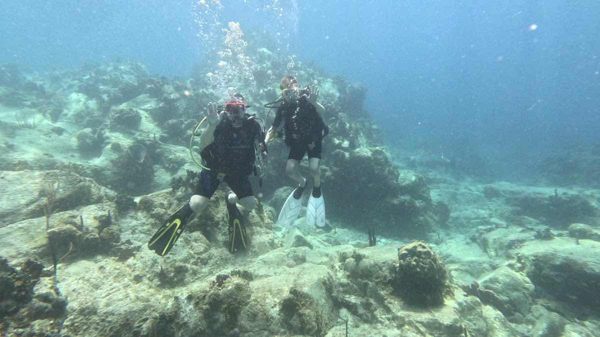 St. Thomas Dive Center photo 3