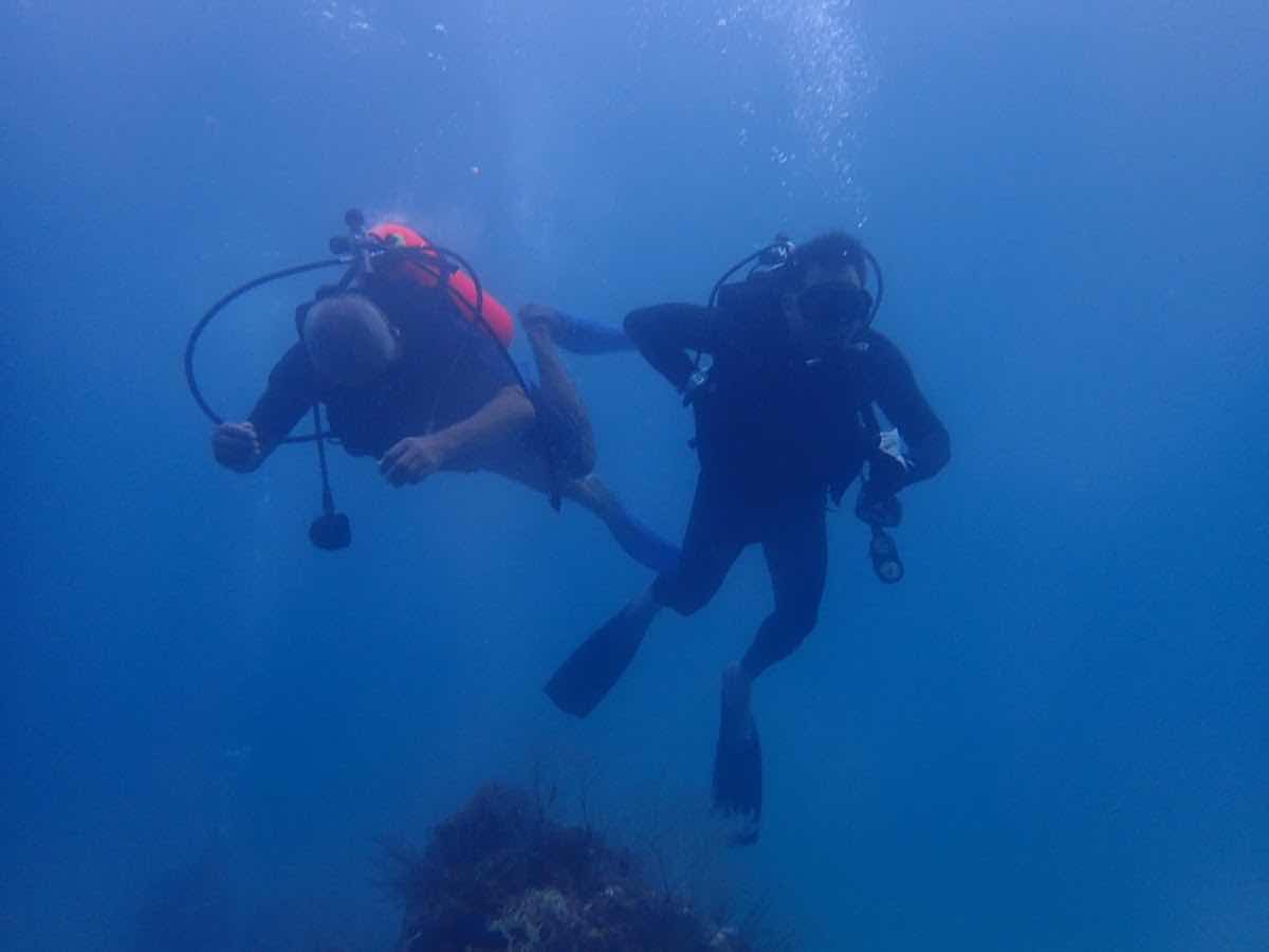 SpaceDiver photo 9