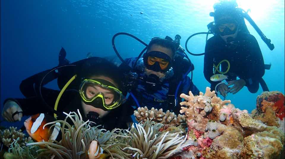 Tomia Ocean Dive photo 3