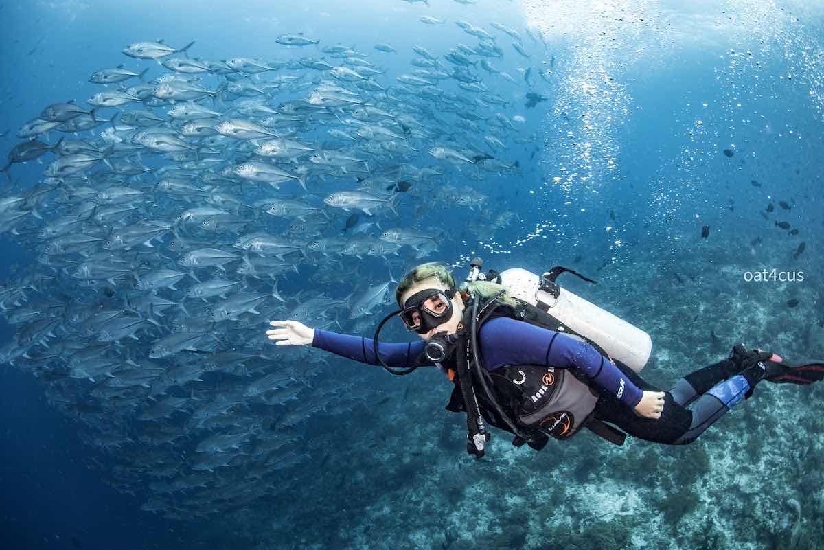 Tomia Ocean Dive photo 4