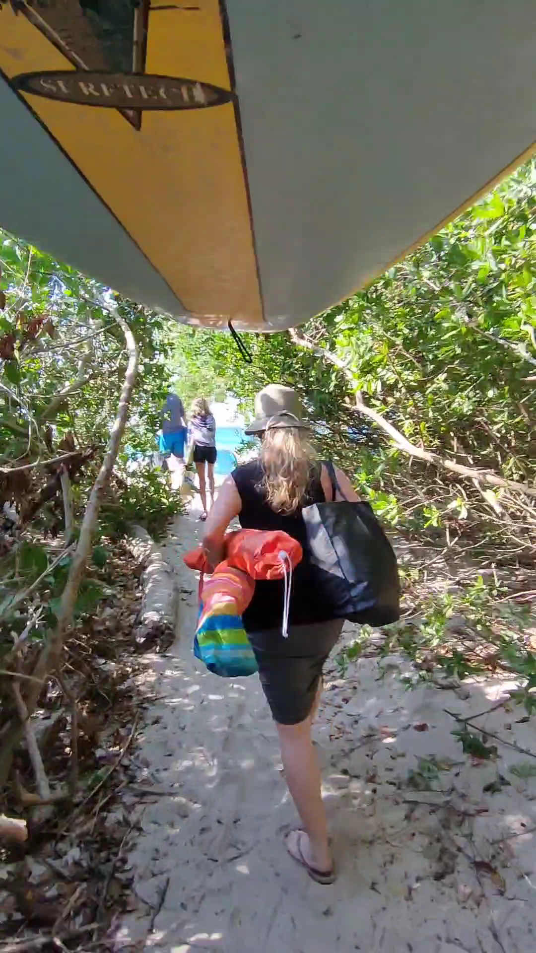 VISCO Puerto Vallarta surf school & guided trips photo 2