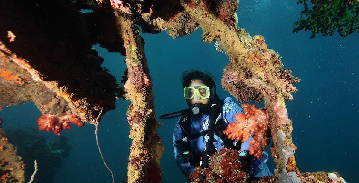 Dive Shop photo 2
